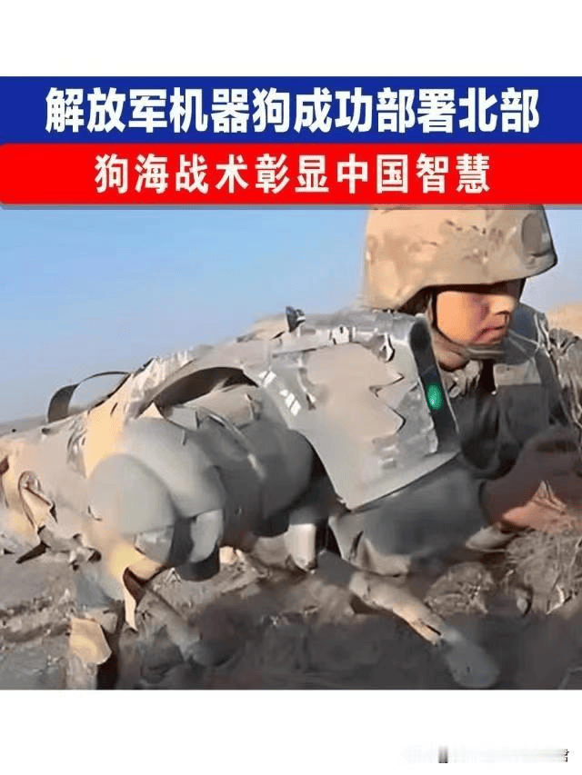 中国呼吁禁止发展“杀手机器人”