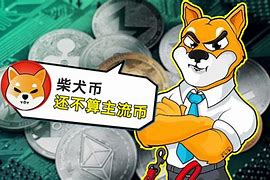 币圈一哥(币圈一姐从美女主持人到身家十亿)