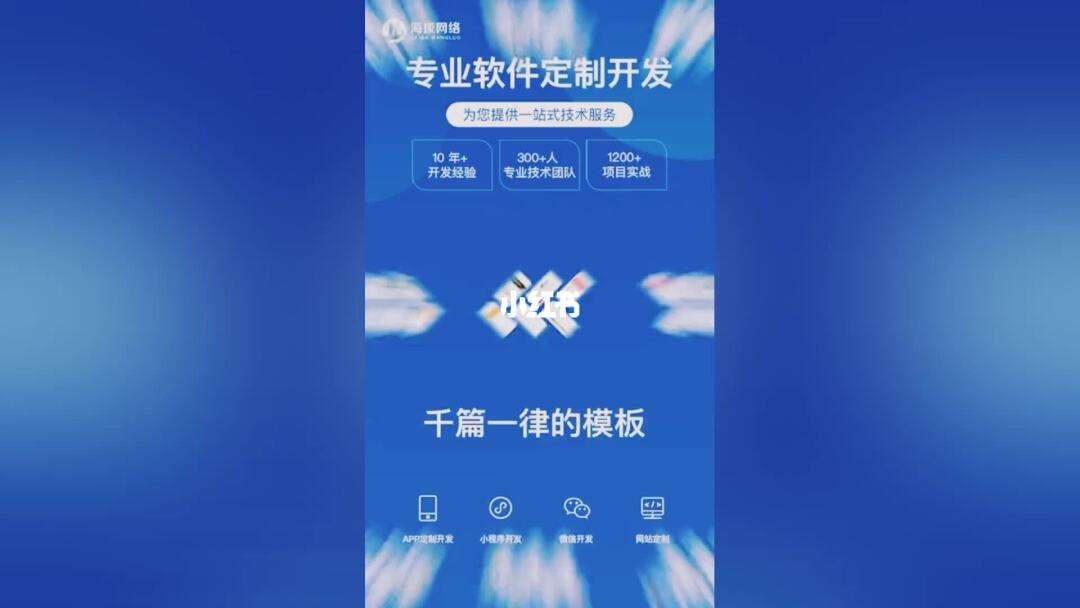 选择软件(选择软件测试的原因)