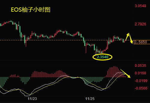 柚子币走势(柚子币行情走势图)