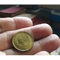 舍币(舍币中袁大三年八年九年十年壹圆邯一种)
