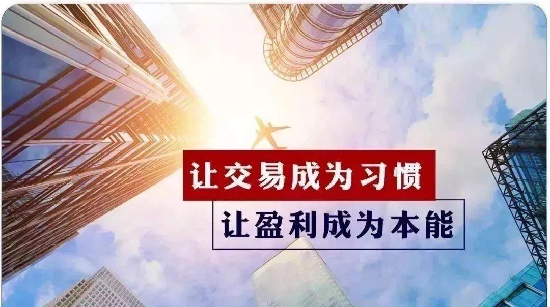 币圈好诗(币圈经典的视频)