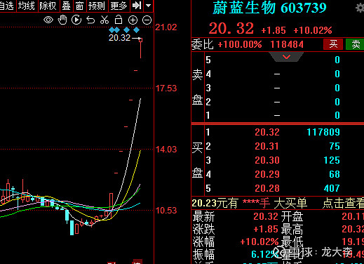 柚子币走势(柚子币走势图)