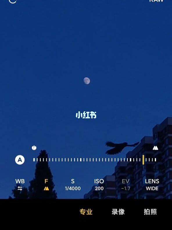 便士软件(便士的头像是谁)