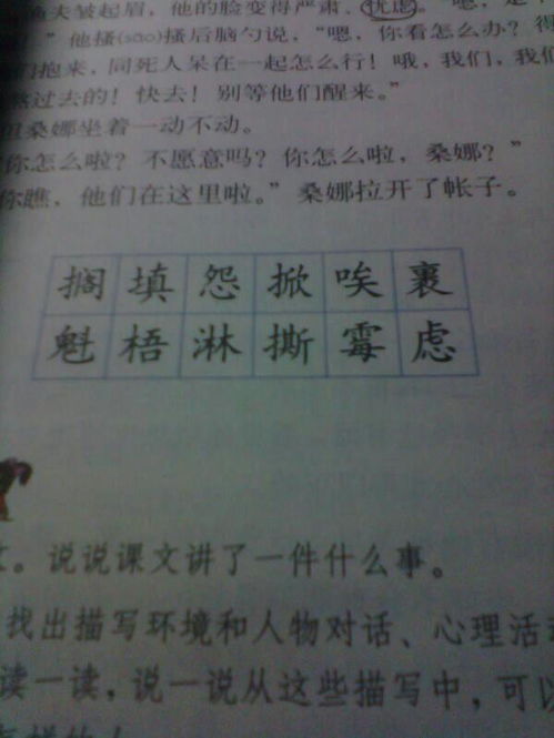 币哎组词(币组词组什么)