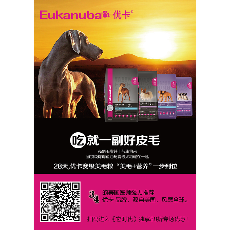 优卡币(优卡币国家支持吗)